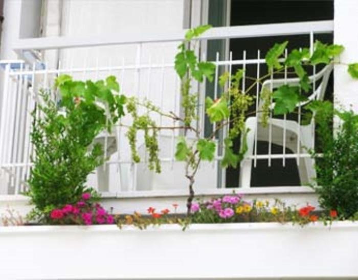 B&B Residence Sorriso Cattolica Kültér fotó
